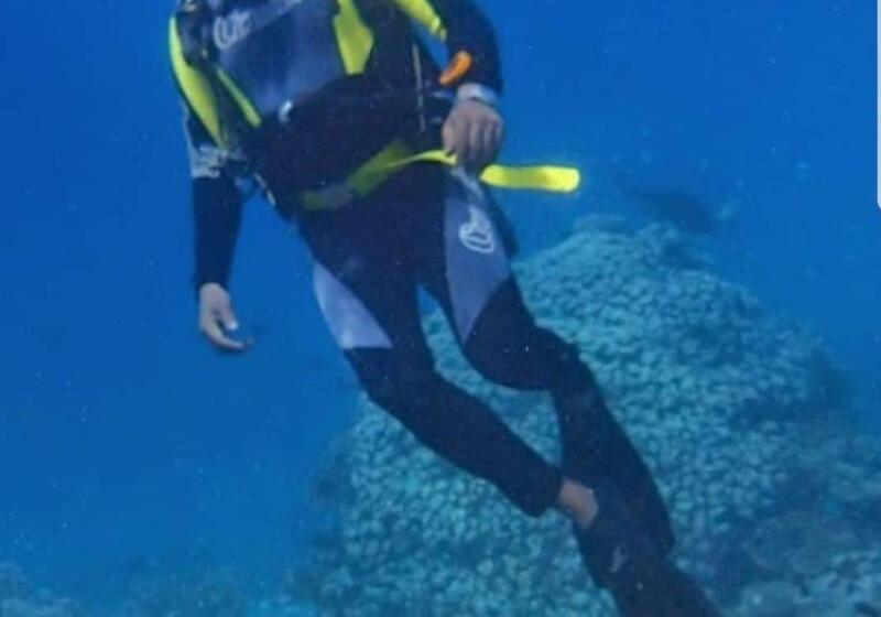 Пансион Goby Lodge Guest House