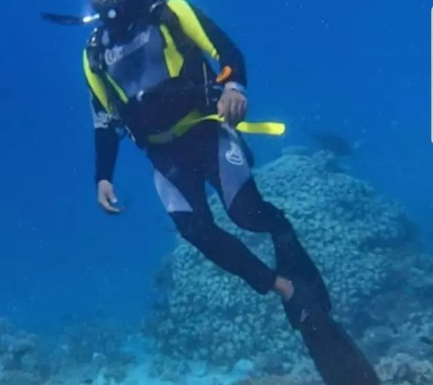 پانسیون Goby Lodge Guest House