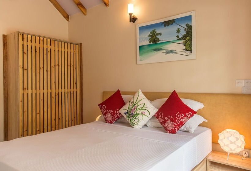 Pensiune Thoddoo Retreat