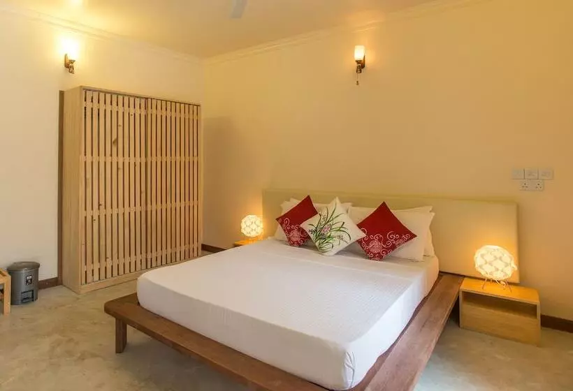 پانسیون Thoddoo Retreat