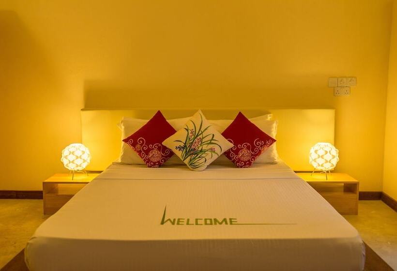 Pensiune Thoddoo Retreat