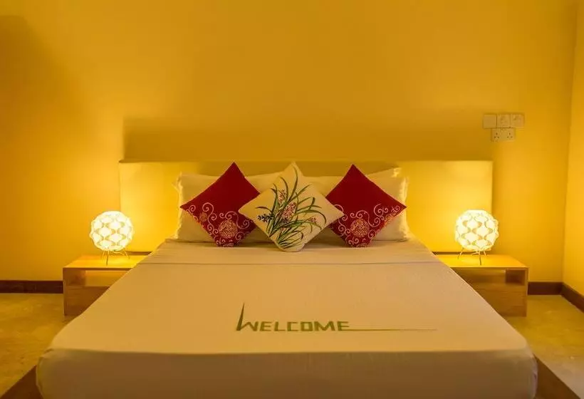 پانسیون Thoddoo Retreat