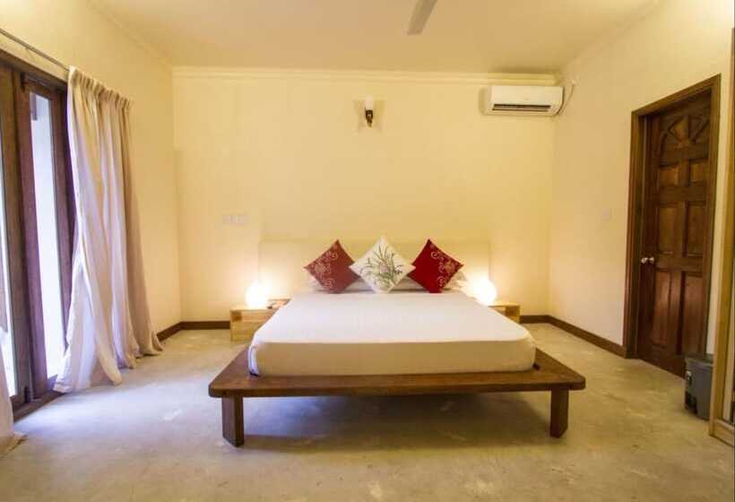 Pensiune Thoddoo Retreat