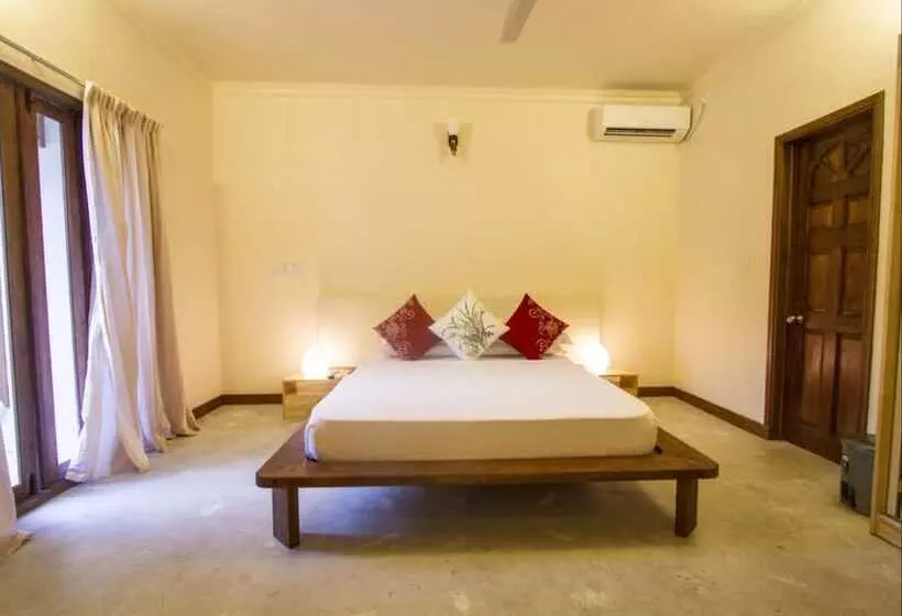 پانسیون Thoddoo Retreat