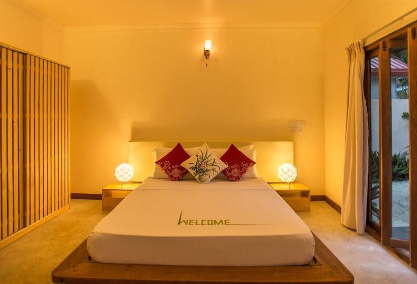 Pensiune Thoddoo Retreat