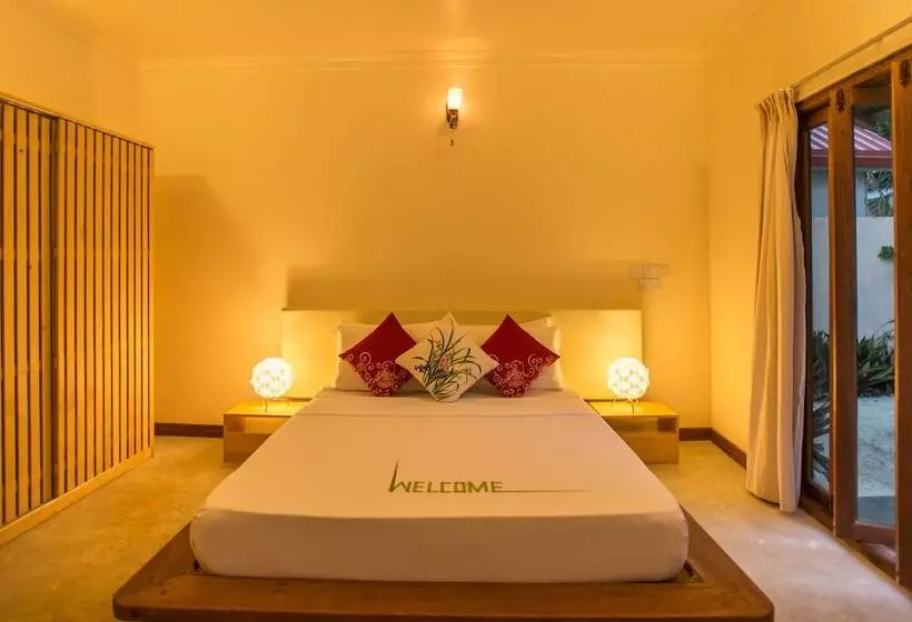 پانسیون Thoddoo Retreat