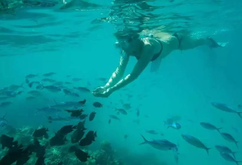 پانسیون Thoddoo Retreat