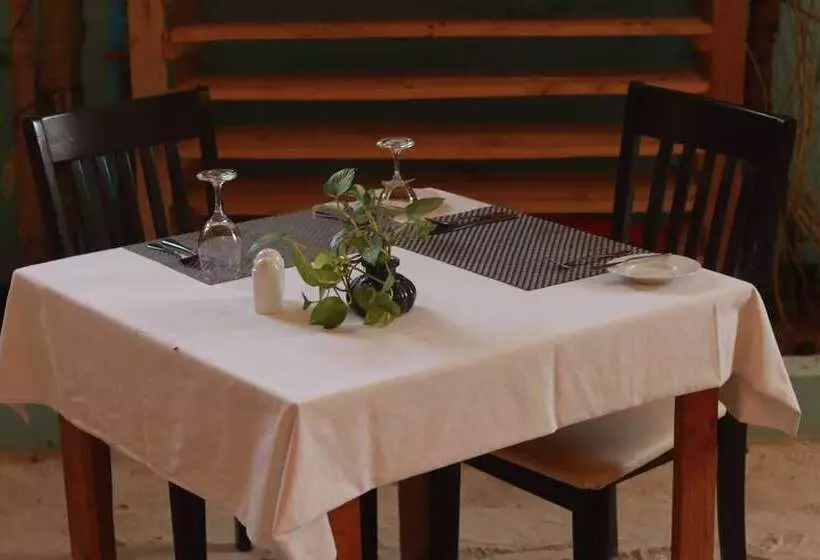 پانسیون Zeestar Inn