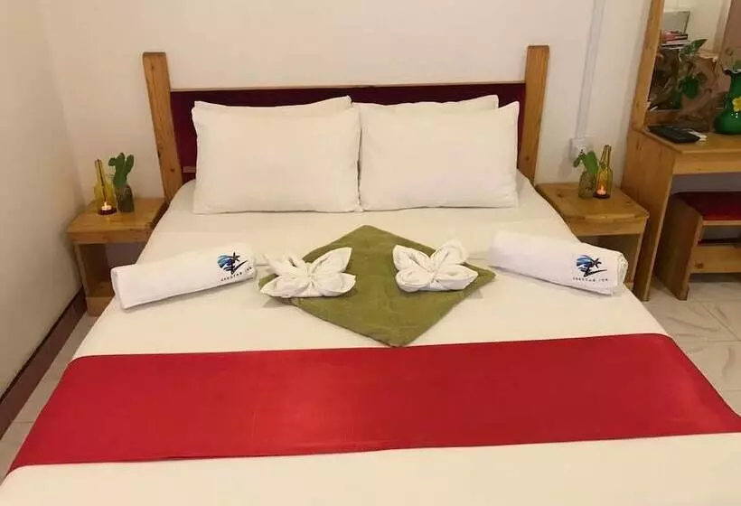 پانسیون Zeestar Inn