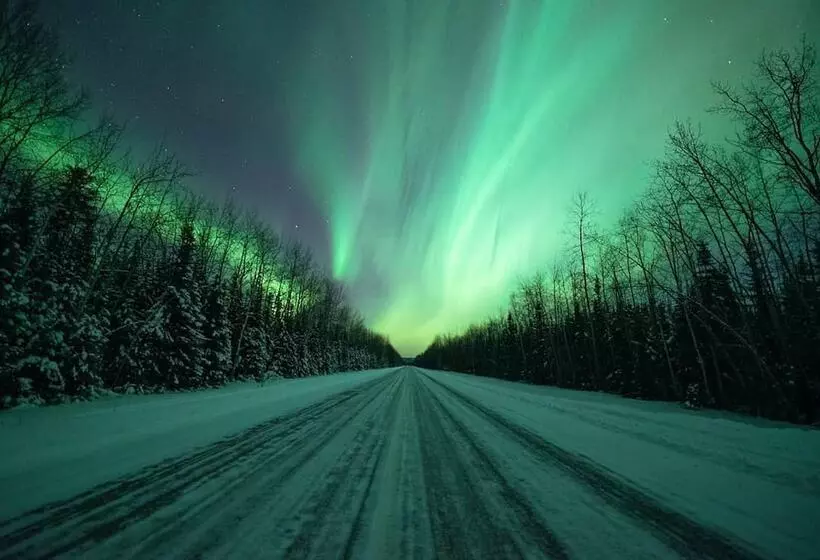 ホテル Chena Hot Springs Resort