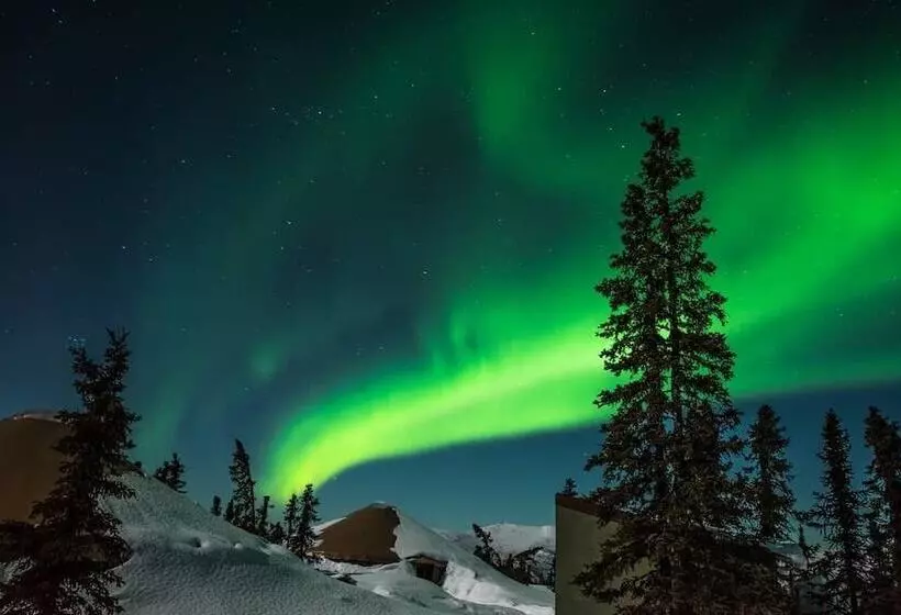 ホテル Chena Hot Springs Resort