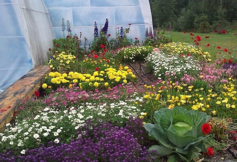 فندق Chena Hot Springs Resort