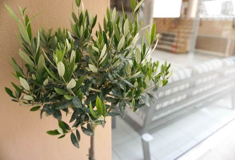 בית מלון כפרי Dioni