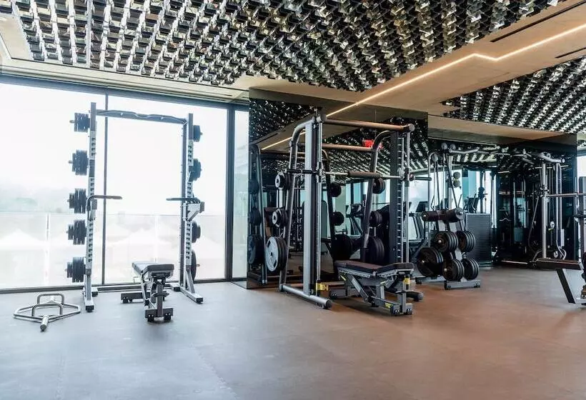 Отель The Promenade Luxury Wellness