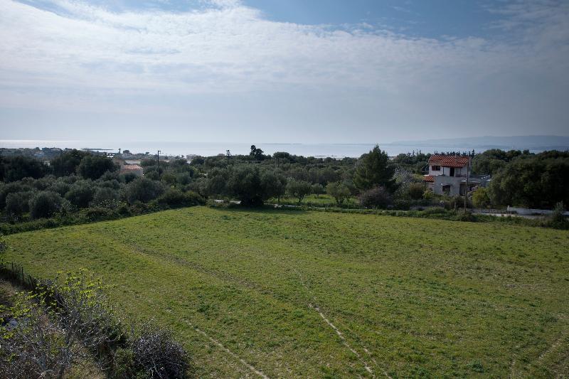 فندق Evgenia Suites