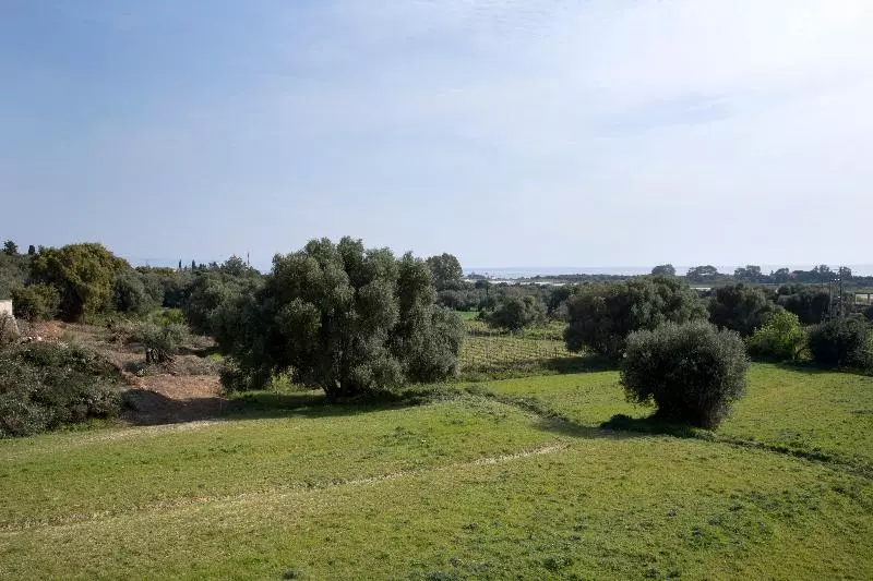 ホテル Evgenia Suites