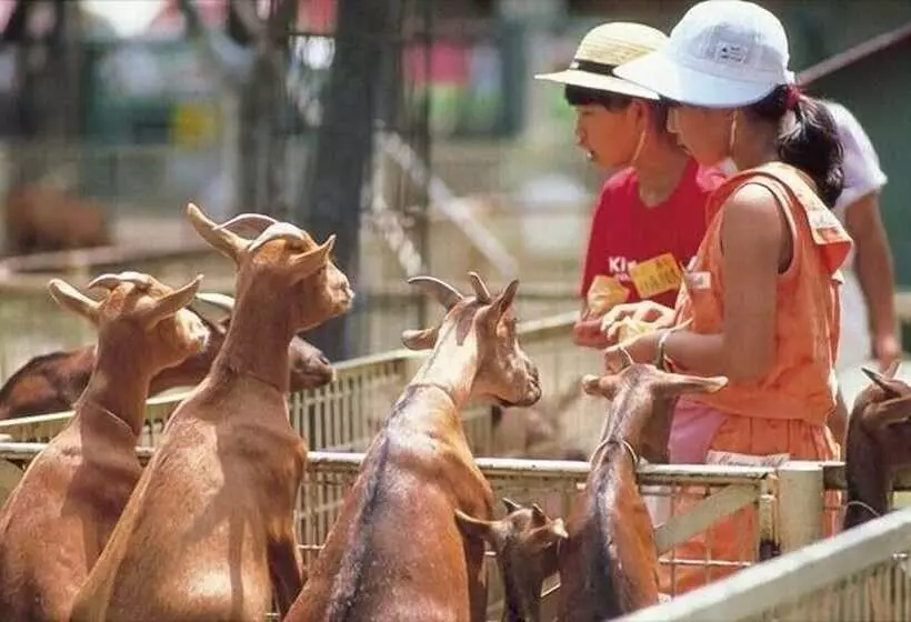 호텔 Miyazaki Kanko