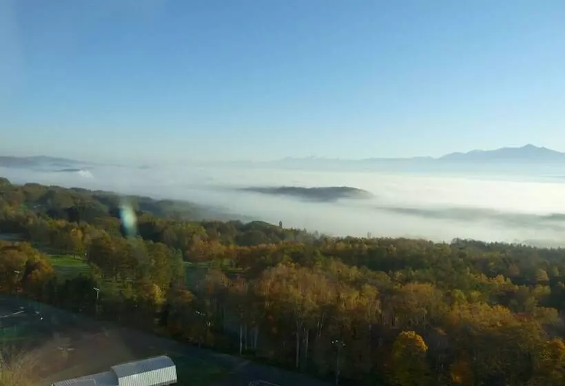 Отель Shin Furano Prince