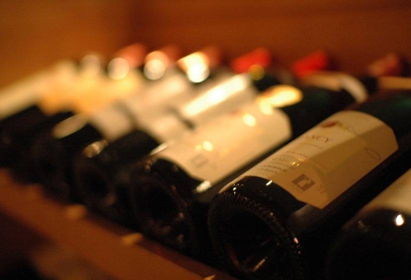 Hotel Shin Furano Prince