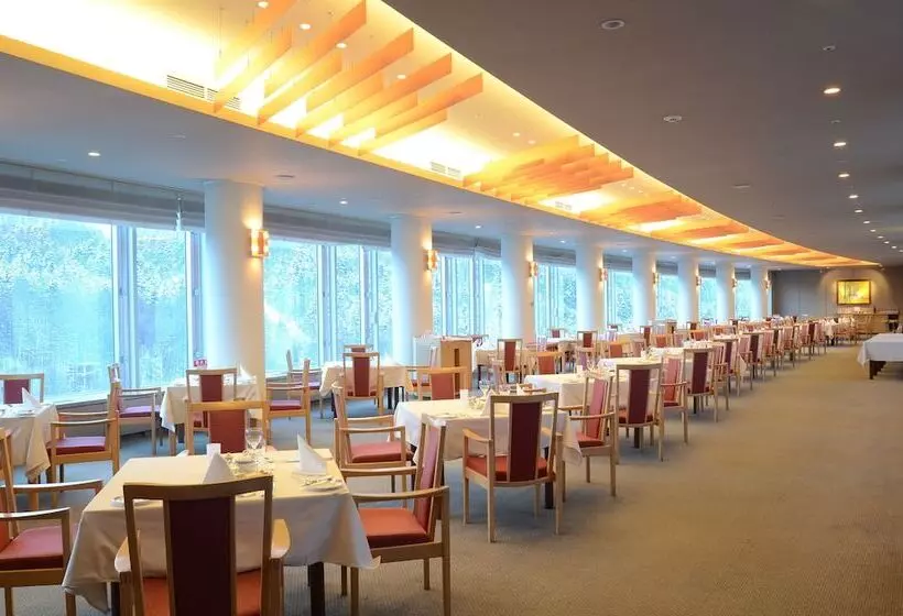 Отель Shin Furano Prince