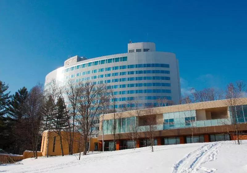 Отель Shin Furano Prince