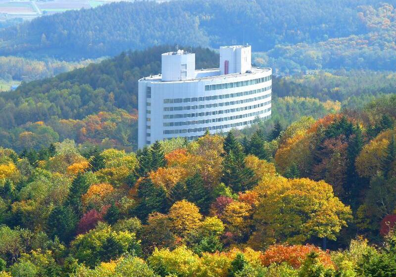 Hotel Shin Furano Prince