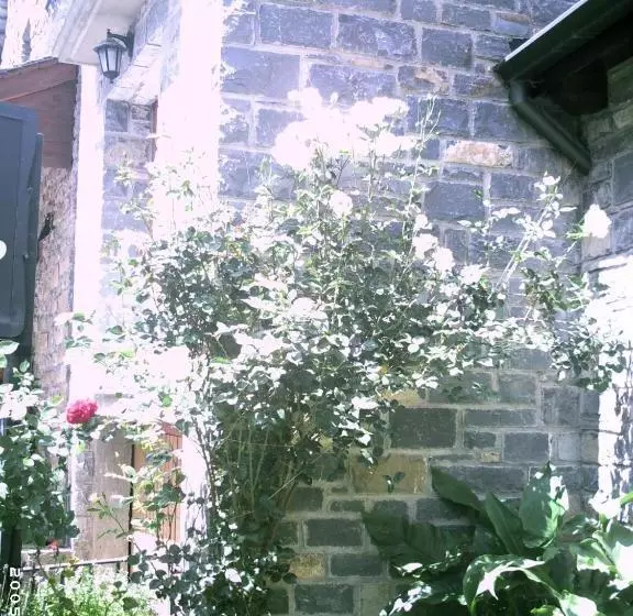 Apartamentos Gabarre