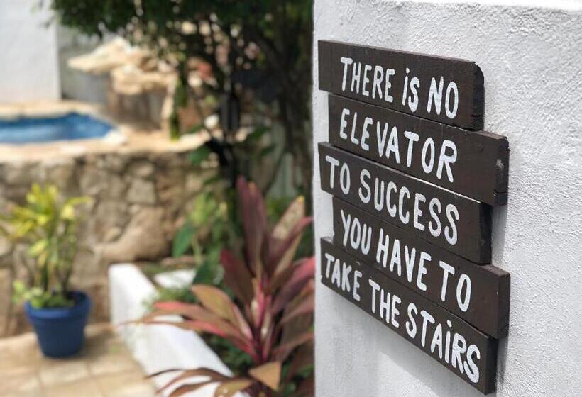 تختخواب و صبحانه Caribo Cozumel