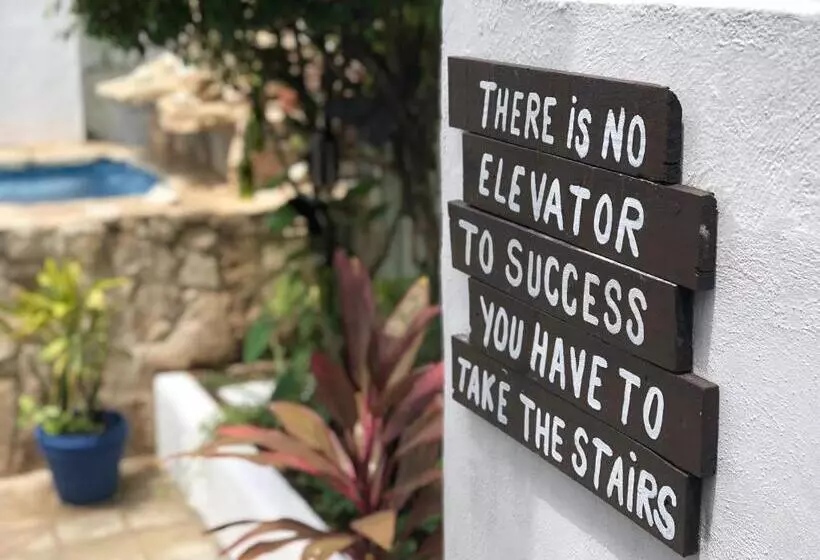 住宿加早餐  Caribo Cozumel