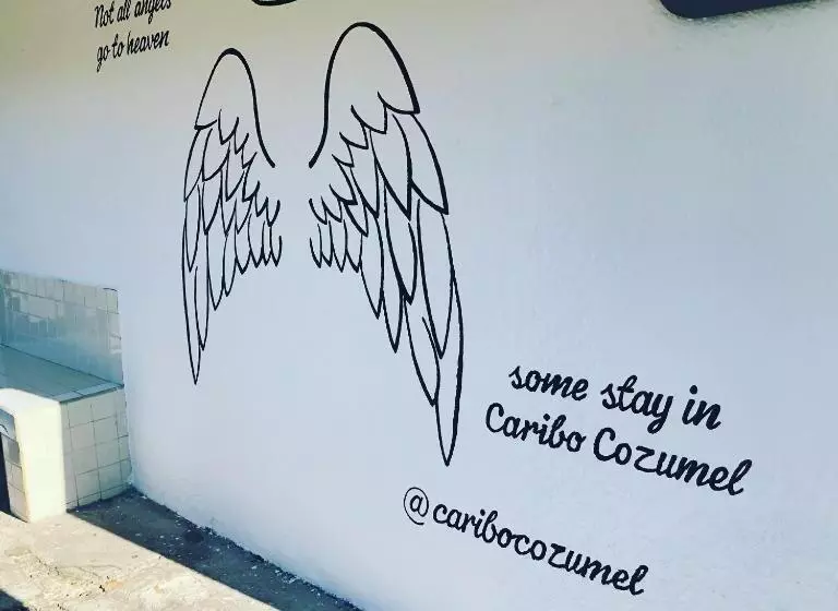 住宿加早餐  Caribo Cozumel