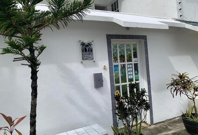 تختخواب و صبحانه Caribo Cozumel