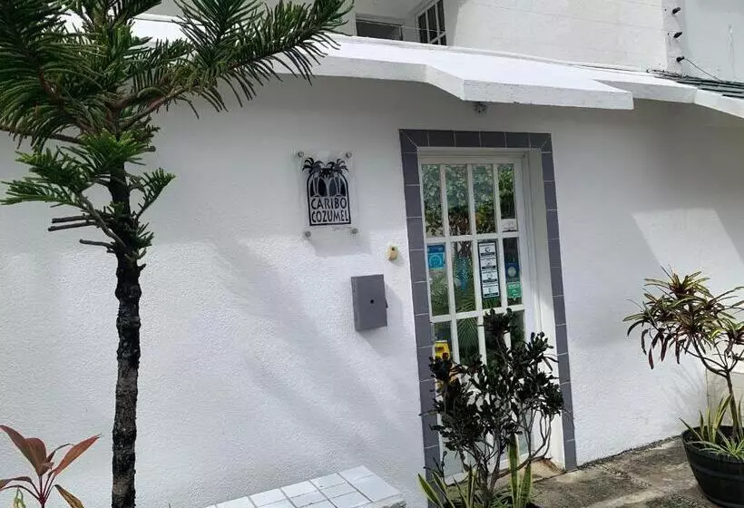 住宿加早餐  Caribo Cozumel