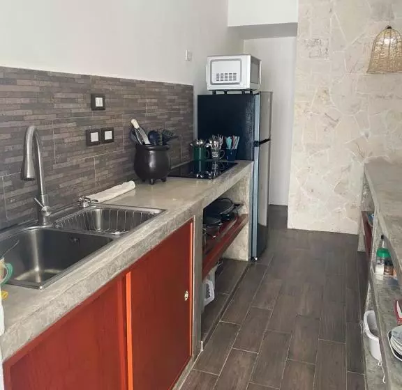 住宿加早餐  Caribo Cozumel