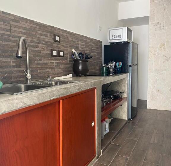 تختخواب و صبحانه Caribo Cozumel