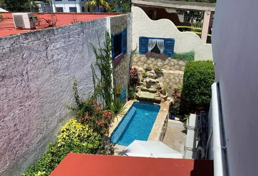 住宿加早餐  Caribo Cozumel