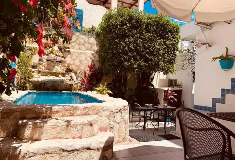 住宿加早餐  Caribo Cozumel