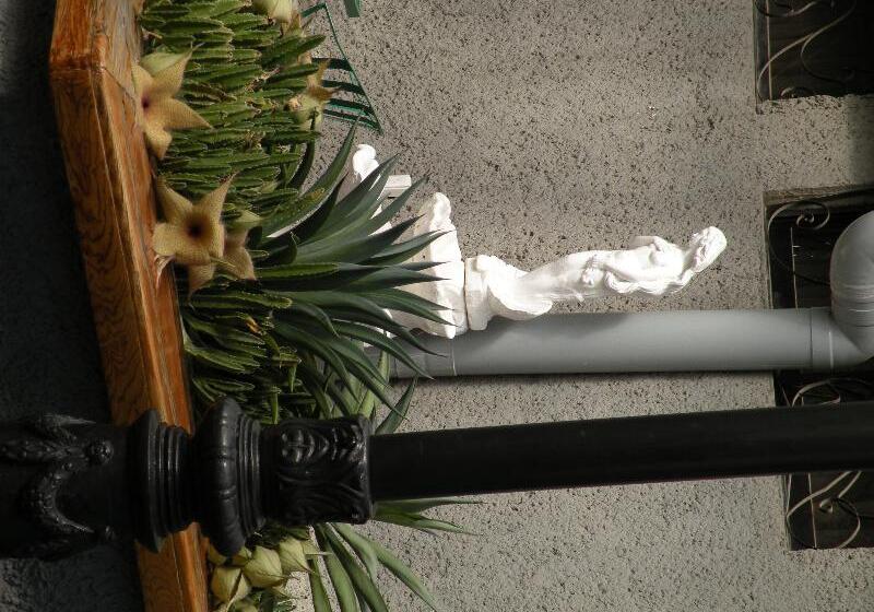 هتل Aristos Puebla