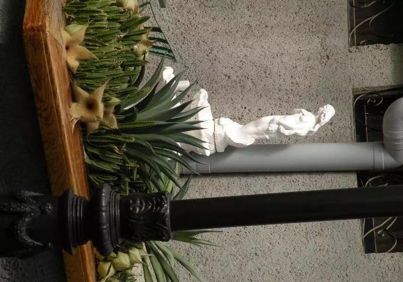 فندق Aristos Puebla