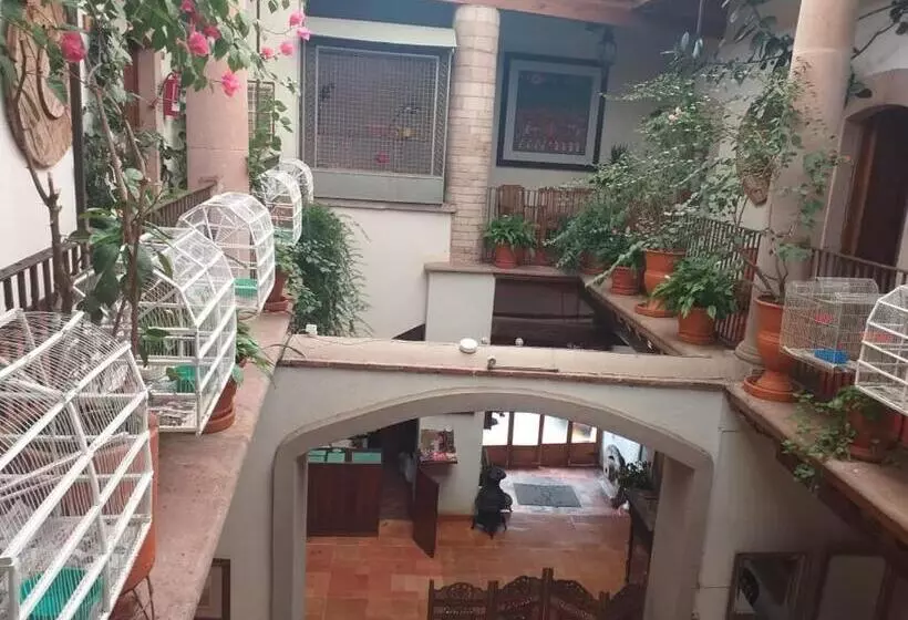 مسافرخانه Casa Del Pingorongo