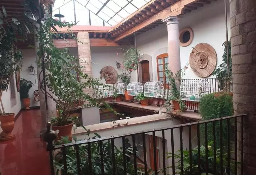 مسافرخانه Casa Del Pingorongo