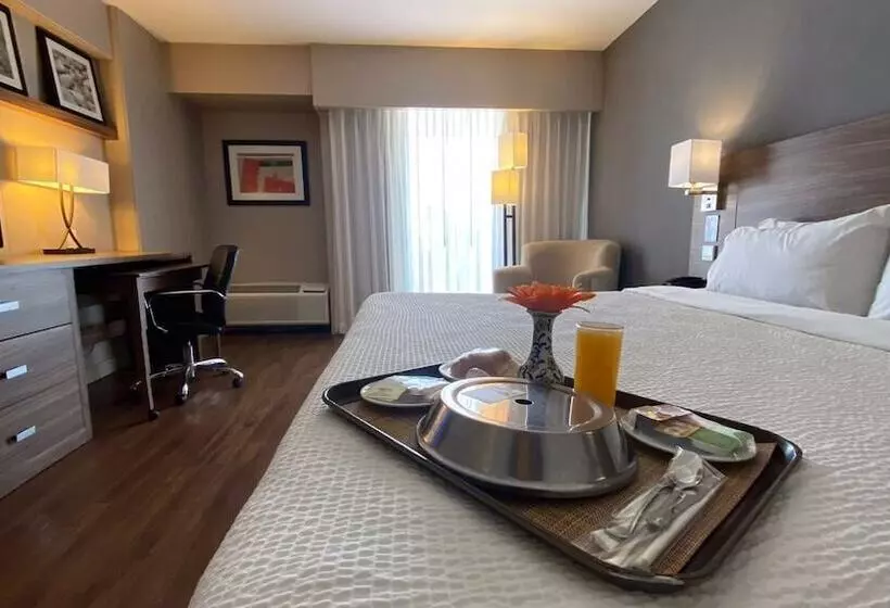 فندق Courtyard By Marriott Puebla Las Animas