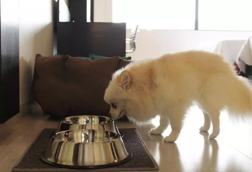 هتل Holiday Inn Mexico Dali Airport, An Ihg