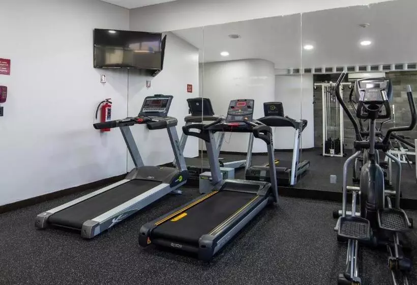 هتل Holiday Inn Mexico Dali Airport, An Ihg