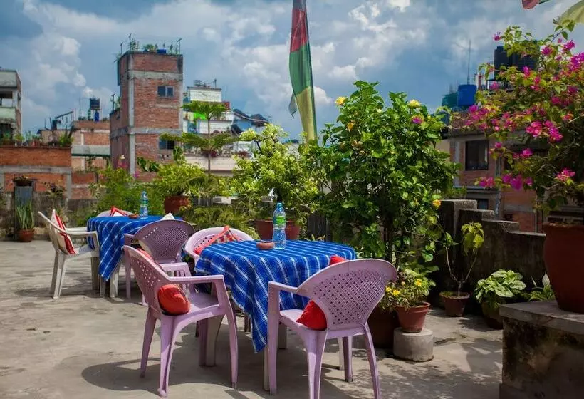 هتل Pilgrims Guest House