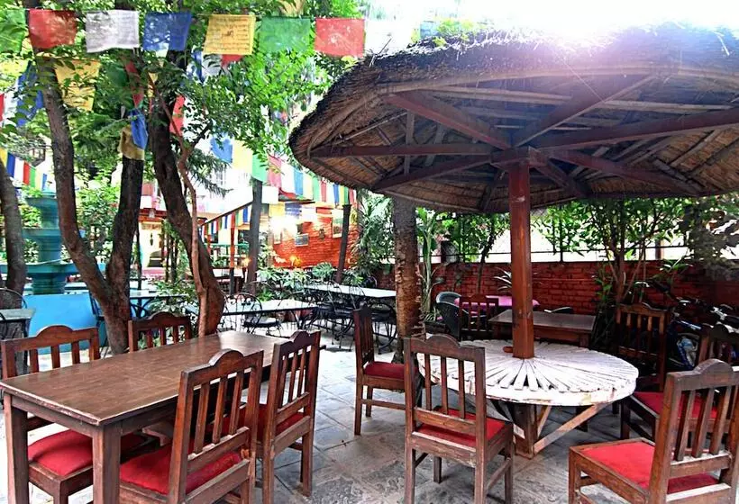 هتل Pilgrims Guest House