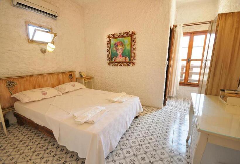 בית מלון כפרי Afet Hanim Konagi