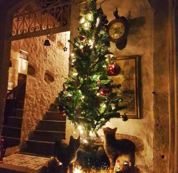 בית מלון כפרי Afet Hanim Konagi