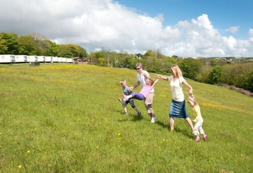 Отель Killigarth Manor Holiday Park