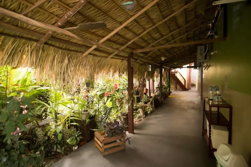 ホテル Pousada Coração Verde