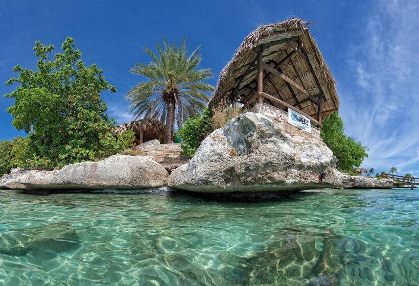 Dreams Curacao Resort, Spa & Casino All Inclusive